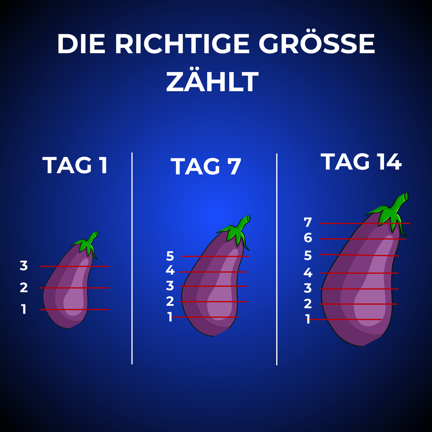 MindRise – Dein Extra-Boost für Leistung und Balance.